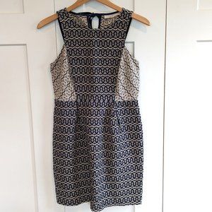 Ann Taylor Loft Jacquard Dress 4P